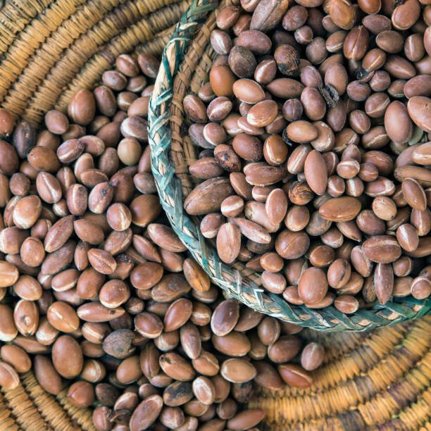 Noci di Argan fresche dal Marocco